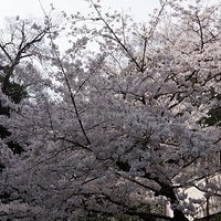 2014.04.01-024.JPG
