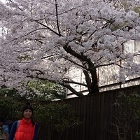 2014.04.01-025.JPG