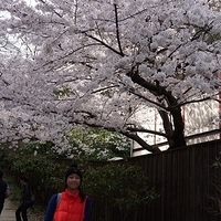 2014.04.01-026.JPG