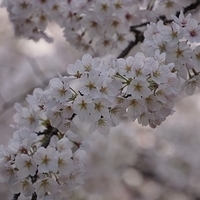 2014.04.01-027.JPG