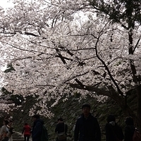2014.04.01-028.JPG
