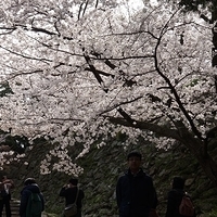2014.04.01-029.JPG