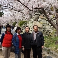 2014.04.01-033.JPG