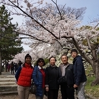 2014.04.01-034.JPG