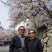 2014.04.01-039.JPG