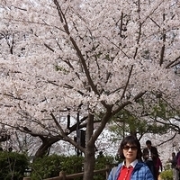2014.04.01-041.JPG