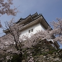 2014.04.01-043.JPG