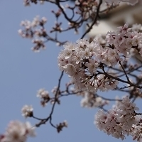 2014.04.01-044.JPG