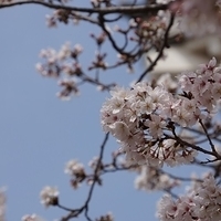 2014.04.01-045.JPG