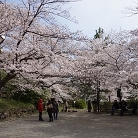 2014.04.01-046.JPG