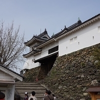 2014.04.01-048.JPG
