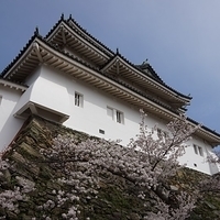 2014.04.01-049.JPG