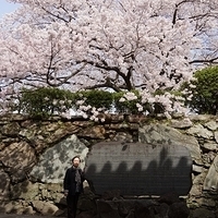 2014.04.01-056.JPG