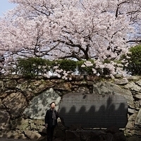 2014.04.01-057.JPG