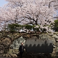 2014.04.01-058.JPG