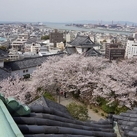 2014.04.01-066.JPG