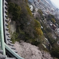 2014.04.01-070.JPG
