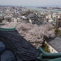 2014.04.01-071.JPG