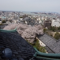 2014.04.01-073.JPG