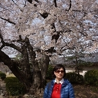 2014.04.01-078.JPG