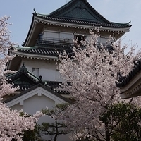 2014.04.01-082.JPG