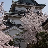2014.04.01-083.JPG