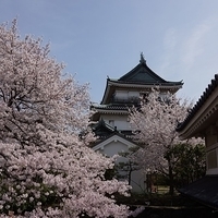 2014.04.01-084.JPG