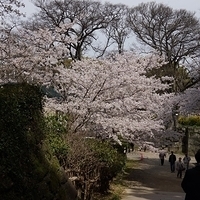 2014.04.01-099.JPG