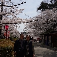 2014.04.01-102.JPG
