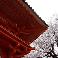 2014.04.01-120.JPG
