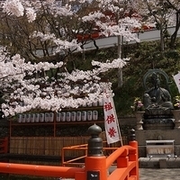 2014.04.01-145.JPG