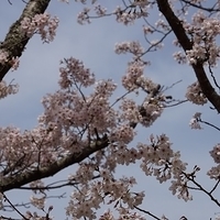 2014.04.01-148.JPG