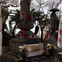 2014.04.01-151.JPG