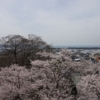 2014.04.01-153.JPG