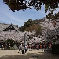 2014.04.01-155.JPG
