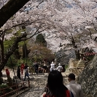 2014.04.01-156.JPG