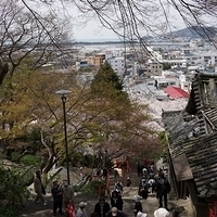 2014.04.01-158.JPG