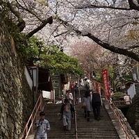 2014.04.01-160.JPG
