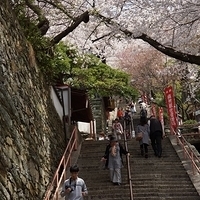 2014.04.01-161.JPG