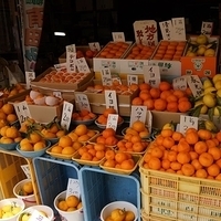 2014.04.01-166.JPG