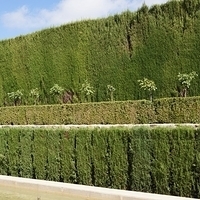 2014.06.24-012.JPG