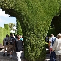 2014.06.24-014.JPG