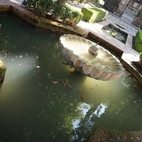 2014.06.24-023.JPG