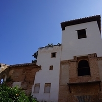 2014.06.24-027.JPG