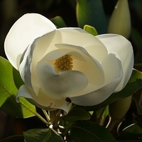 2014.06.24-056.JPG