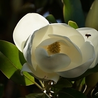 2014.06.24-057.JPG
