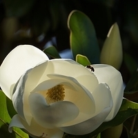 2014.06.24-058.JPG