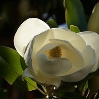 2014.06.24-059.JPG