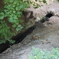 2014.06.24-080.JPG