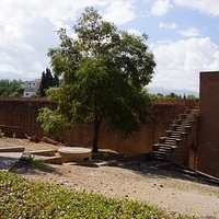 2014.06.24-083.JPG